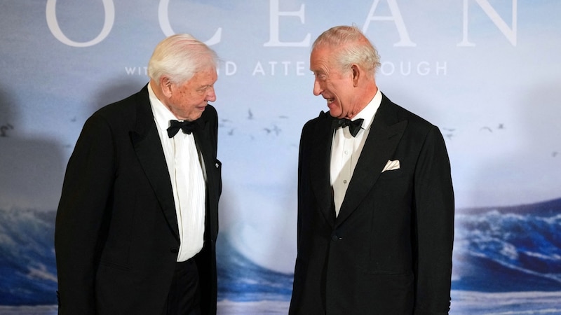 Sir David Attenborough plauderte bei der Premiere in London mit König Charles. (Bild: APA/AFP/POOL/Alastair Grant)