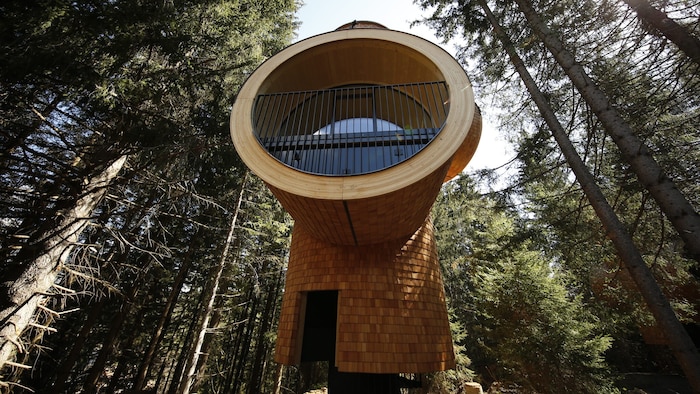 Was hat die Steiermark mit Bali zu tun? – Das Projekt The Pavilions auf Bali und die Baumhäuser ...