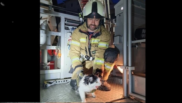 Die Katze wurde aus einer Dachrinne geborgen. (Bild: FF St. Johann im Pongau)