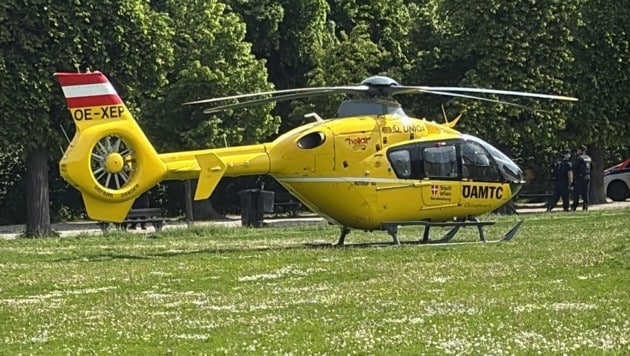 Polizei, Rettung und der Notarzthubschrauber des ÖAMTC rückten am Mittwochvormittag in den Wiener Augarten aus. (Bild: Leserreporter)