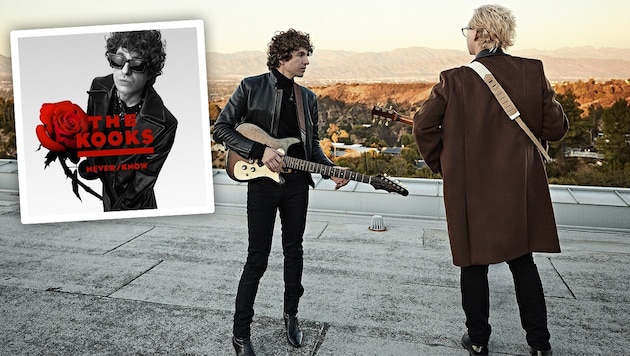 Schon vor einiger Zeit zu einem Duo geschrumpft: Luke Pritchard und Hugh Harris von den Kooks.