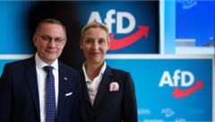 Die AfD hat eine Doppelspitze: Chrupalla und Weidel  (Bild: krone.tv)