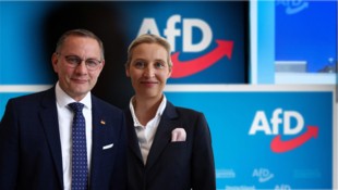 Die AfD hat eine Doppelspitze: Chrupalla und Weidel  (Bild: krone.tv)