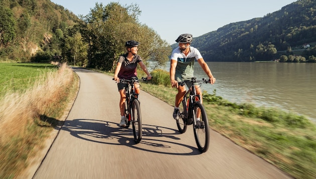 Bei Rad-Touristen ist die Region rund um Neustift und Co. auch dank des Donauradwegs bekannt – jetzt will man verstärkt auch bei Familien punkten. (Bild: WGD Donau Oberösterreich Tourismus GmbH/Studio Draussen)