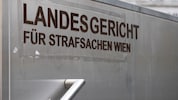 Im Wiener Landesgericht musste der Ex-Lebensgefährte vor den Schöffensenat.