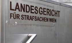 Im Wiener Landesgericht fließen viele Tränen.