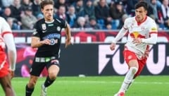 Dänen-Stürmer William Böving spielt die beste Saison seit er bei Sturm ist. (Bild: GEPA)