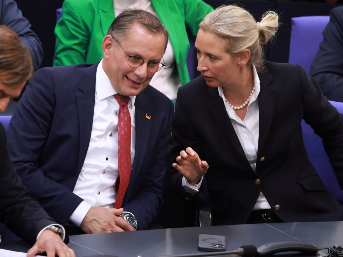 Einstufung auf Eis - Verfassungsschutz will jetzt zur AfD schweigen |  krone.at