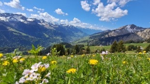 Von der Anhöhe des sogenannten Zapfernmaisäß bietet sich ein wundervoller Blick ins Tal und auf die Berge. Auf den satten Weiden grasen bereits die ersten Ziegen und Schafe. (Bild: Bergauer Rubina)