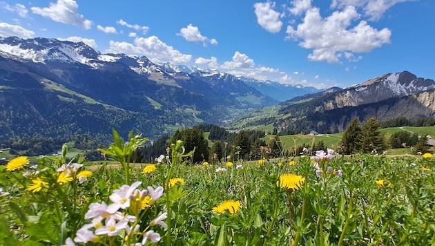 Von der Anhöhe des sogenannten Zapfernmaisäß bietet sich ein wundervoller Blick ins Tal und auf ...
