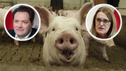 Königsberger-Ludwig und Totschnig konnten sich zeitgerecht einigen.