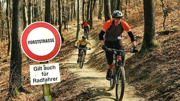 (Bild: Krone KREATIV/Doris Seebacher , Oliver Gast)