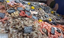 Im Chernomorka dreht sich alles um frischen Fisch, Austern und Meerestiere.