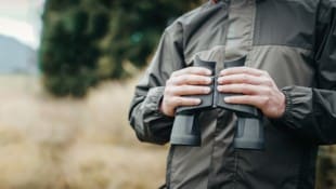 Die betroffene Jägerschaft wurde bereits informiert.