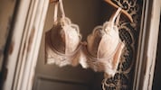 Besitzerinnen der zarten Dessous werden nach dem Fund der besonderen Art nun gesucht.
