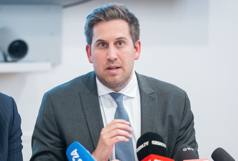 Staatssekretär Alexander Pröll (ÖVP) zählte vier Stoßrichtungen bei der Budget-Erstellung auf. (Bild: APA/GEORG HOCHMUTH)