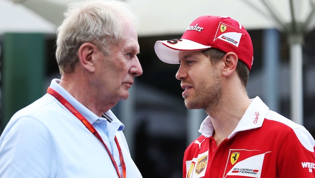 Helmut Marko und Sebastian Vettel halten immer noch engen Kontakt (Bild: GEPA)