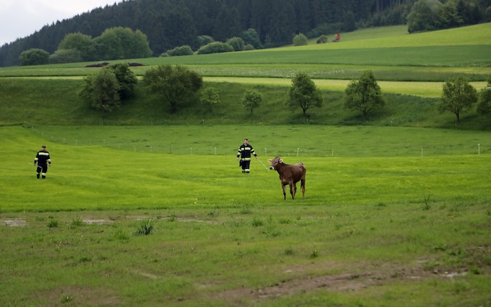 Die Feuerwehrmänner starteten sportlich in den Freitag.