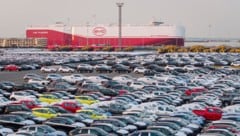 China: Ein Autofrachter wird mit BYD-Elektrowagen beladen. Die Marke verbirgt ihre Herkunft ...