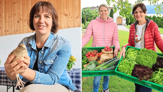 Biobäuerin Anita Siller aus dem Tiroler Stubaital ist Pionierin in der Wachtelzucht. Sabine Waldner und Sabina Puelacher bauen klassische und exotische Obst- und Gemüsesorten an.   (Bild: Johanna Birbaumer)
