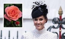 Prinzessin Kate wurde mit einer eigenen Rosenzüchtung geehrt, die auch noch Geld für die ...