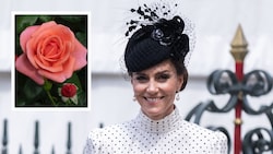 Prinzessin Kate wurde mit einer eigenen Rosenzüchtung geehrt, die auch noch Geld für die Krebsforschung einbringen soll.  (Bild: Krone KREATIV/Joanne Davidson / Camera Press / picturedesk.com, x.com/KensingtonRoyal)