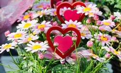 Am häufigsten werden Blumen zum Muttertag geschenkt.