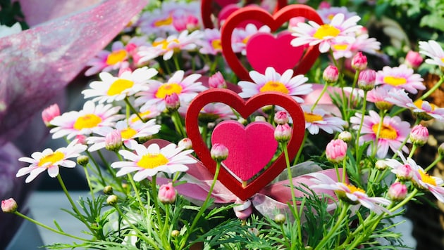 Am häufigsten werden Blumen zum Muttertag geschenkt.