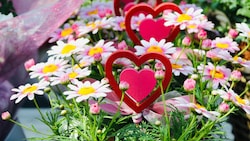 Am häufigsten werden Blumen zum Muttertag geschenkt. (Bild: Jauschowetz Christian)