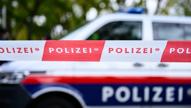 Symbolbild  (Bild: APA/MAX SLOVENCIK)