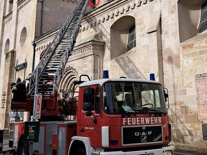Taubenrettung vom Dom in Wiener Neustadt
