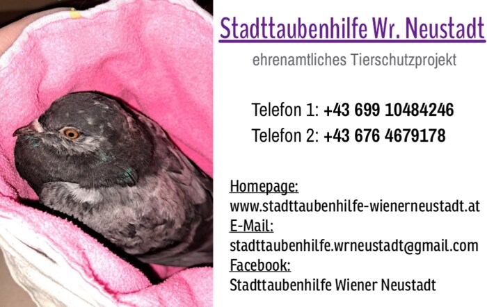 Freiwillige Helfer werden laufend gesucht.
