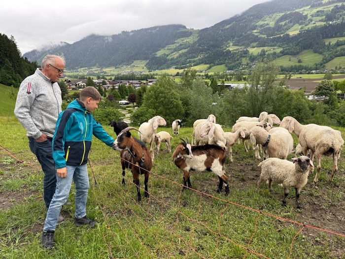 Sohn Tobias (10) und Opa Thomas bei den überlebenden Schafen