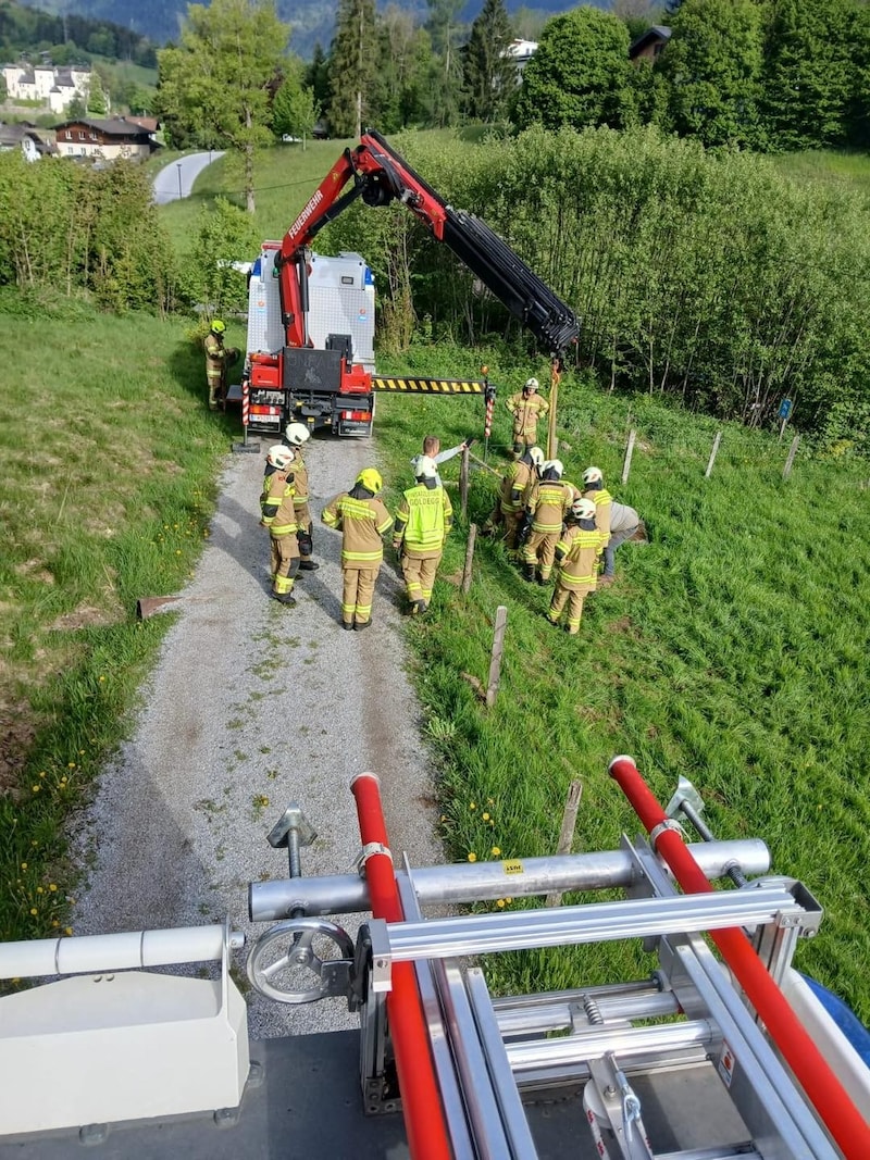 Tierischer Einsatz für die Feuerwehr (Bild: FF Goldegg)