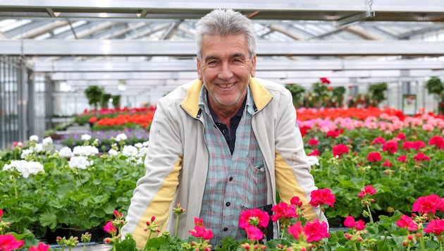 Herr der Blumen in Zell am See-Schüttdorf: Klaus Riegler (Bild: Roland Hölzl)
