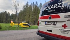 Der Rettungshubschrauber Christophorus 15 brachte das Mädchen ins Krankenhaus. (Bild: Rotes Kreuz Mariazellerland|Kögel M.)