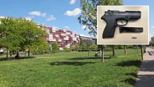Das Duo feuerte mit der Pistole in einem Wiener Park. Die Polizei samt Sondereinheit WEGA rückte an. (Bild: Jöchl Martin)
