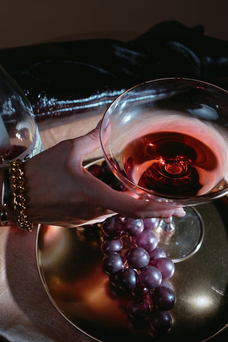 „Wilder Widerstand“ – der Aperitivo der Zukunft. (Bild: Wilder Widerstand)