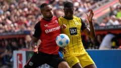Gelb gewinnt bei Bayer Leverkusen gegen Borussia Dortmund … (Bild: AFP/INA FASSBENDER)