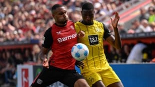 Gelb gewinnt bei Bayer Leverkusen gegen Borussia Dortmund … (Bild: AFP/INA FASSBENDER)