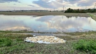 Schwere Zeit für die FF Bisamberg im Herbst 2024: Unwetter forderten sie an vielen Stellen, man platzierte Sandsäcke an den neuralgischen Stellen des Donaugrabens. (Bild: FF Bisamberg)