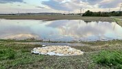 Schwere Zeit für die FF Bisamberg im Herbst 2024: Unwetter forderten sie an vielen Stellen, man ...