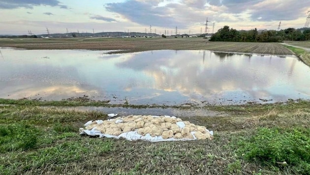 Schwere Zeit für die FF Bisamberg im Herbst 2024: Unwetter forderten sie an vielen Stellen, man platzierte Sandsäcke an den neuralgischen Stellen des Donaugrabens. (Bild: FF Bisamberg)