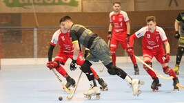 Entweder Wolfurt (in Rot) oder Dornbirn müssen in die zweite Liga absteigen. (Bild: RHC Dornbirn)