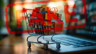 Jeder vierte Österreicher ist bereits einem Fake-Shop zum Opfer gefallen. (Bild: Danish - stock.adobe.com)
