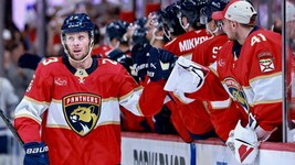 Jubel bei den Panthers (Bild: AFP/CARMEN MANDATO)