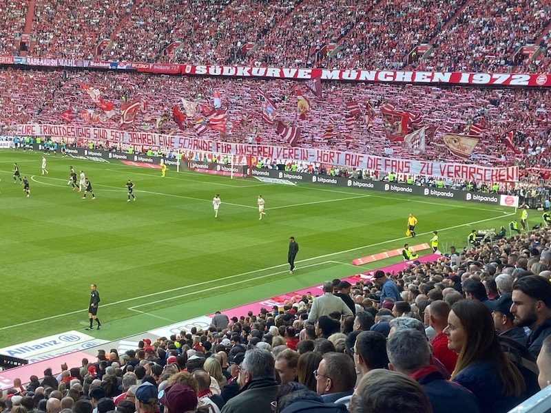 (Bild: krone.at)