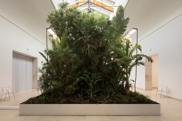 Belgien. Zum Durchatmen – Biosphäre für Daheim: Der belgische Pavillon wird während der Biennale ...