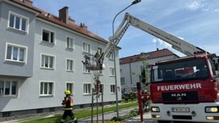 Dem Ergebnis der Brandermittlung zufolge ist das Feuer auf eine offene Flamme zurückzuführen. (Bild: Feuerwehr Stadt Gmünd)