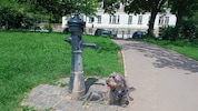 „Odin“ und seine Spielkameraden warten schon lange auf Wasser. (Bild: Krone KREATIV/privat)